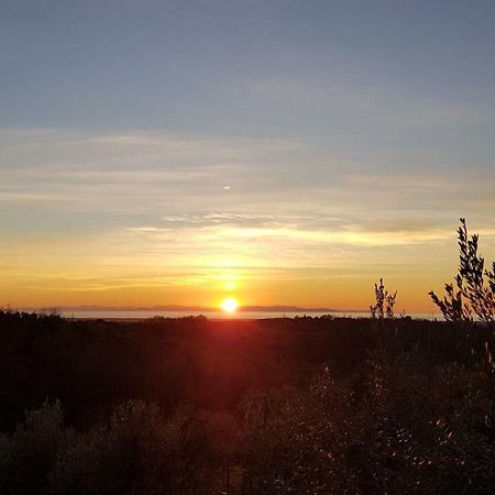 Il Panorama Διαμέρισμα Montescudaio Εξωτερικό φωτογραφία