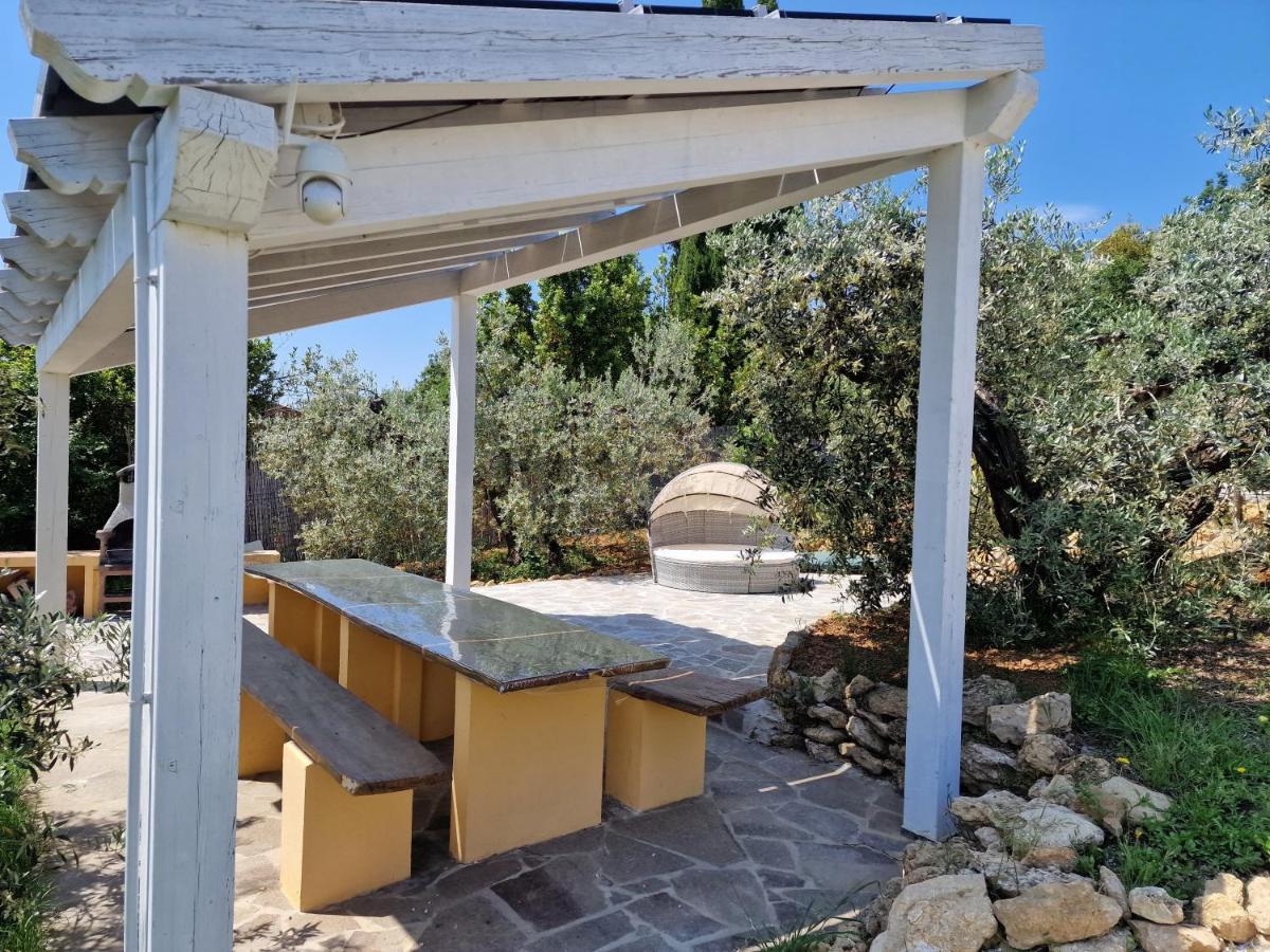 Il Panorama Διαμέρισμα Montescudaio Εξωτερικό φωτογραφία